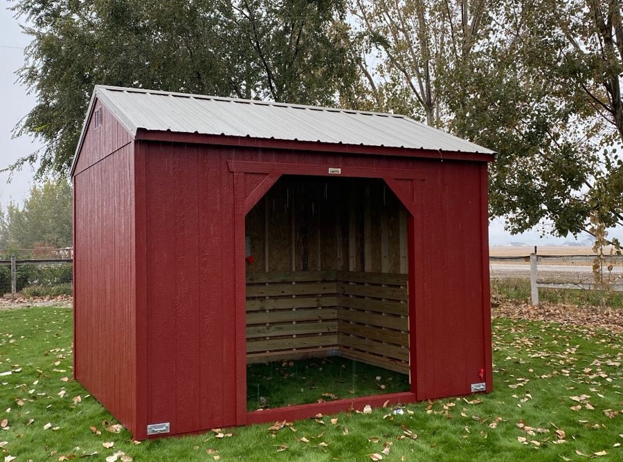 Animal Shelter
