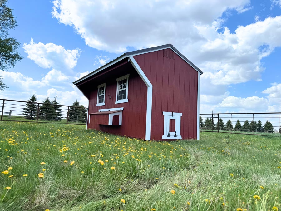 Chicken Coop